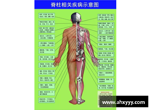 体育明星的脊柱侧弯问题：从明星到健康的挑战与解决方案