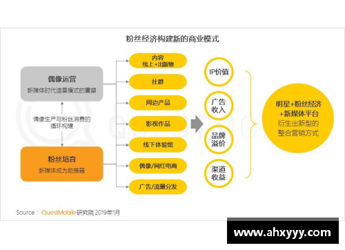 体育明星偶像化现象分析：从数据驱动到社会影响的全面探讨