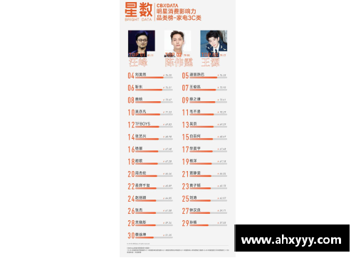 体育明星的定义及其分类探讨：从成就到影响力的全景分析