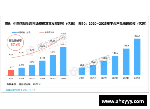 体育明星薪水背后的经济与社会影响深度分析