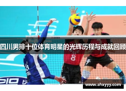 四川男排十位体育明星的光辉历程与成就回顾