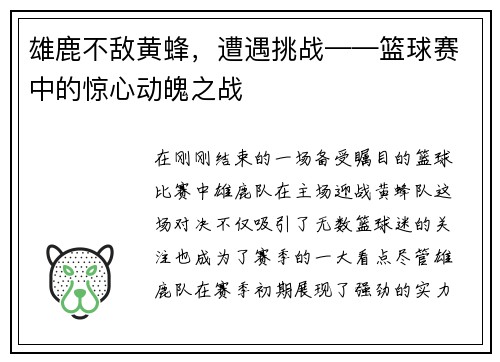 雄鹿不敌黄蜂，遭遇挑战——篮球赛中的惊心动魄之战